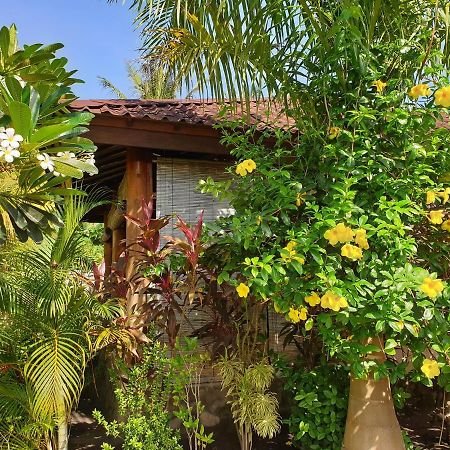 Waiara Village Guesthouse Maumere Extérieur photo